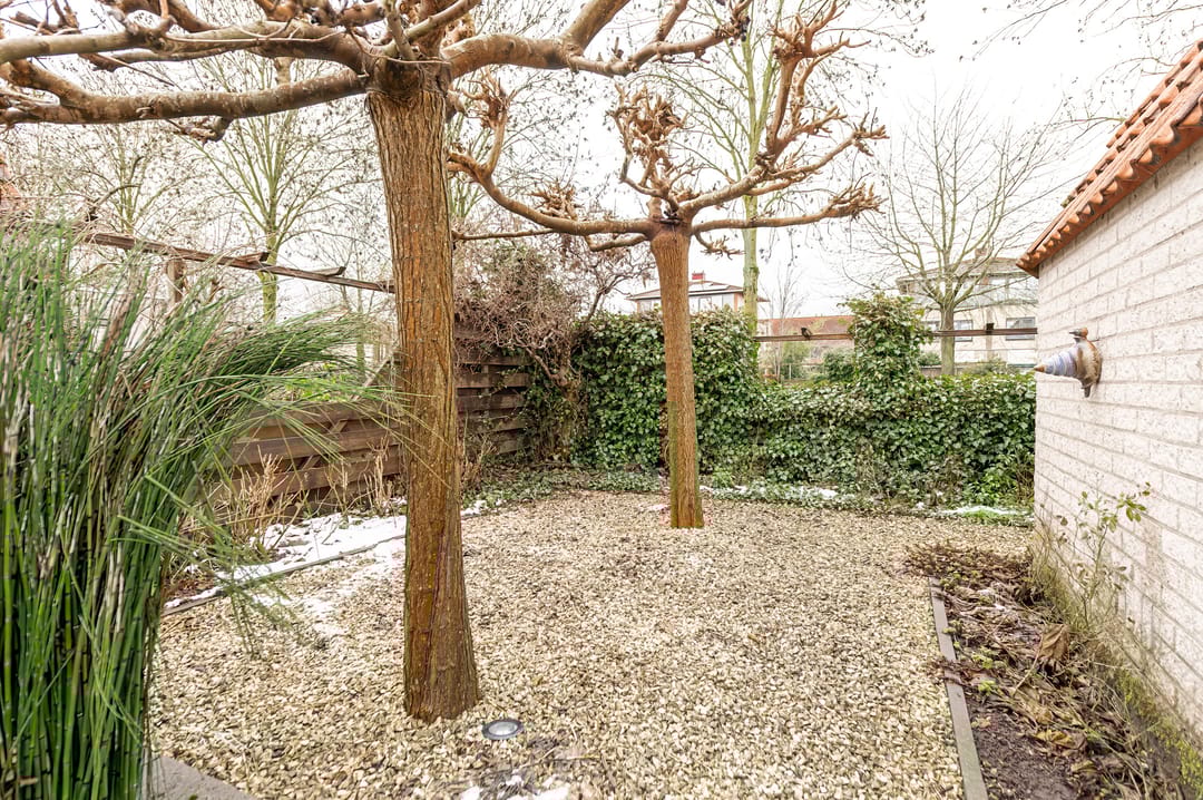 Photo 23 of Beerzepad 8