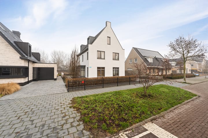 Foto 3 van Niels Bohrhage 9