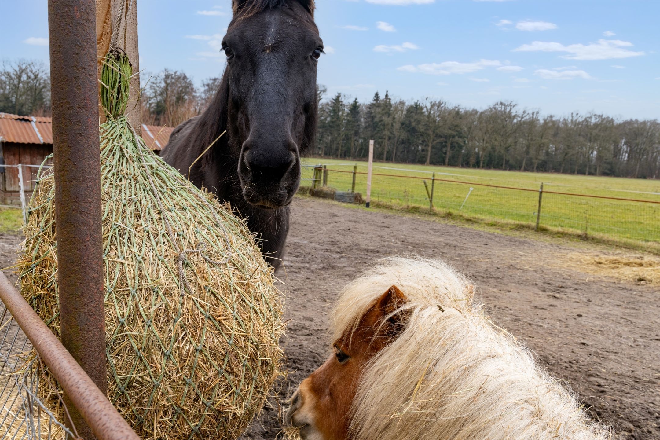 Photo 30 of Espelodijk 1