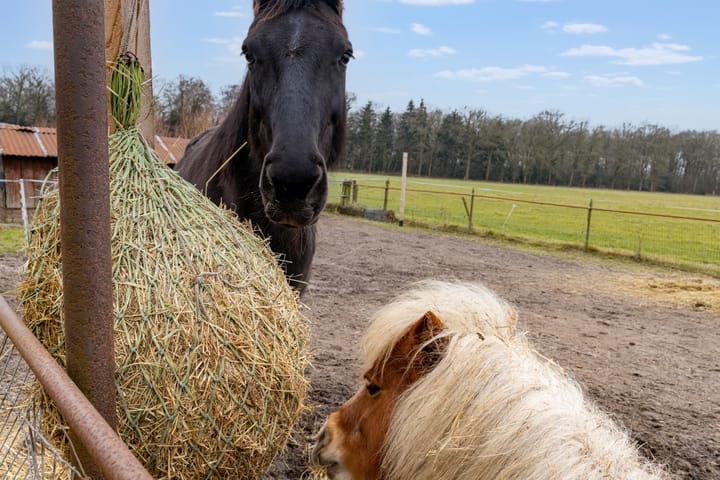 Foto 30 van Espelodijk 1