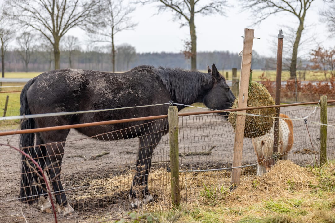 Photo 31 of Espelodijk 1