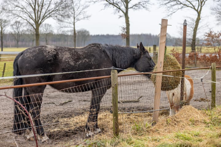 Foto 31 van Espelodijk 1