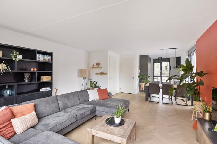 Foto 5 van Pollux 4-D