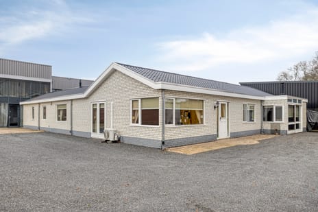 undefined main image