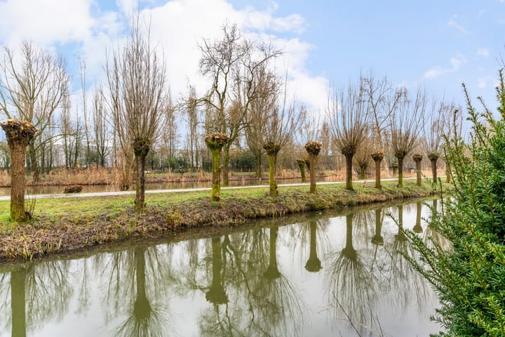 Foto 4 van Meentweg 98