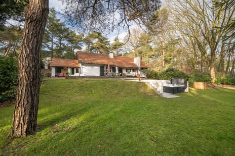 undefined main image