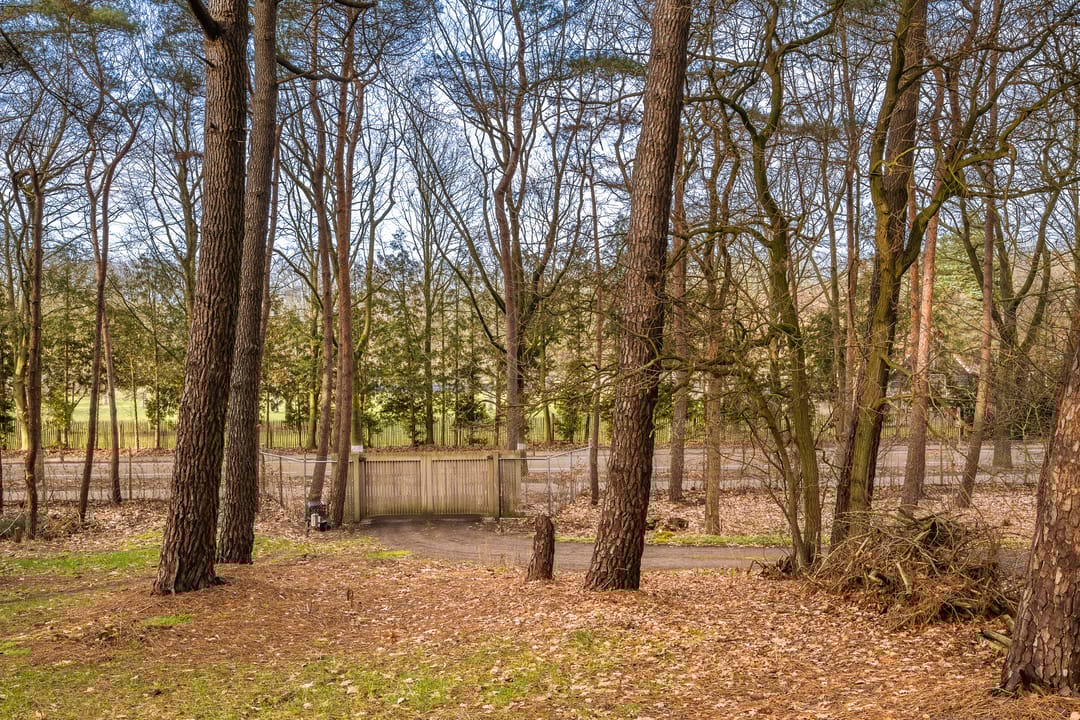 Foto 28 van Elzenstraat 7