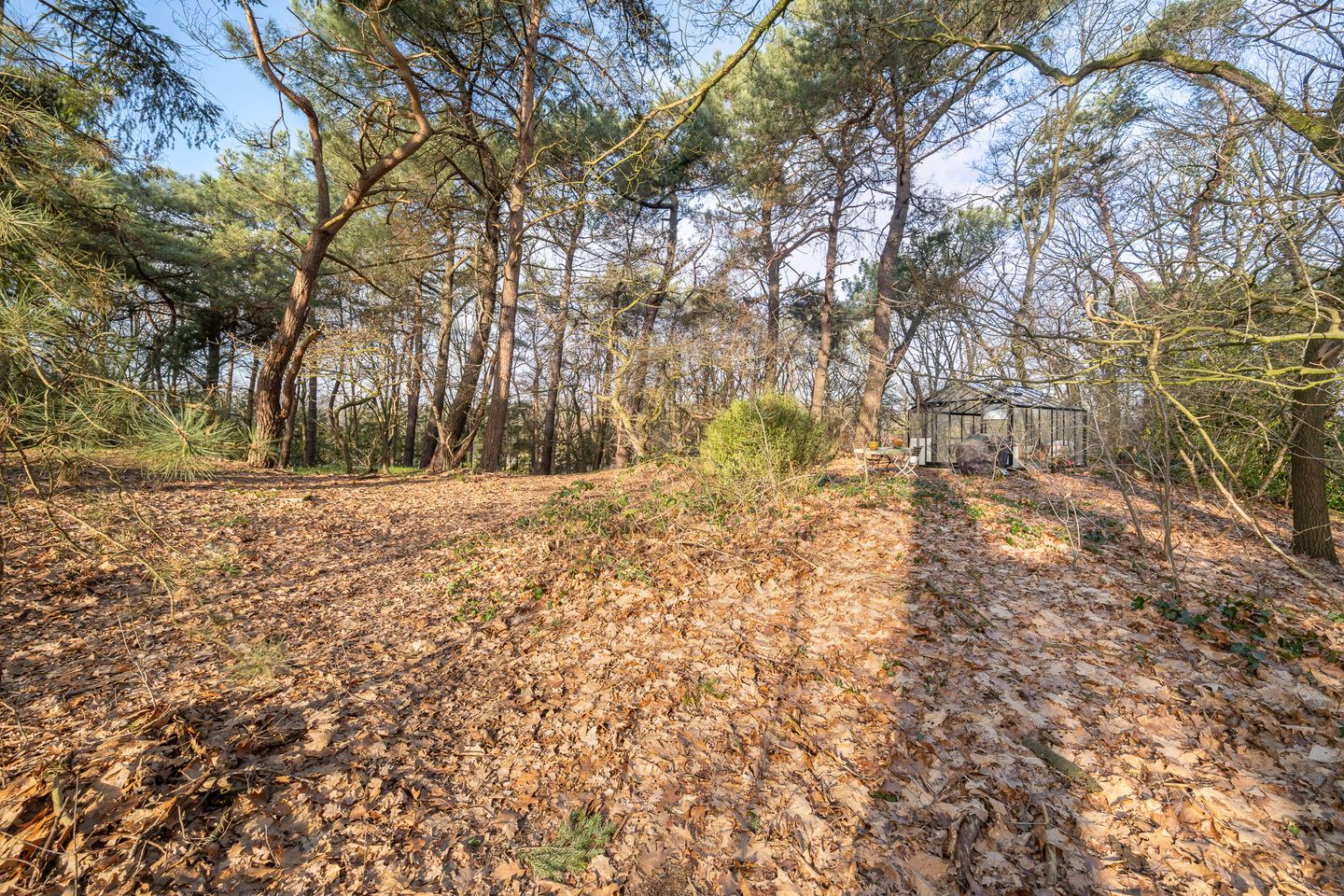 Foto 29 van Elzenstraat 7