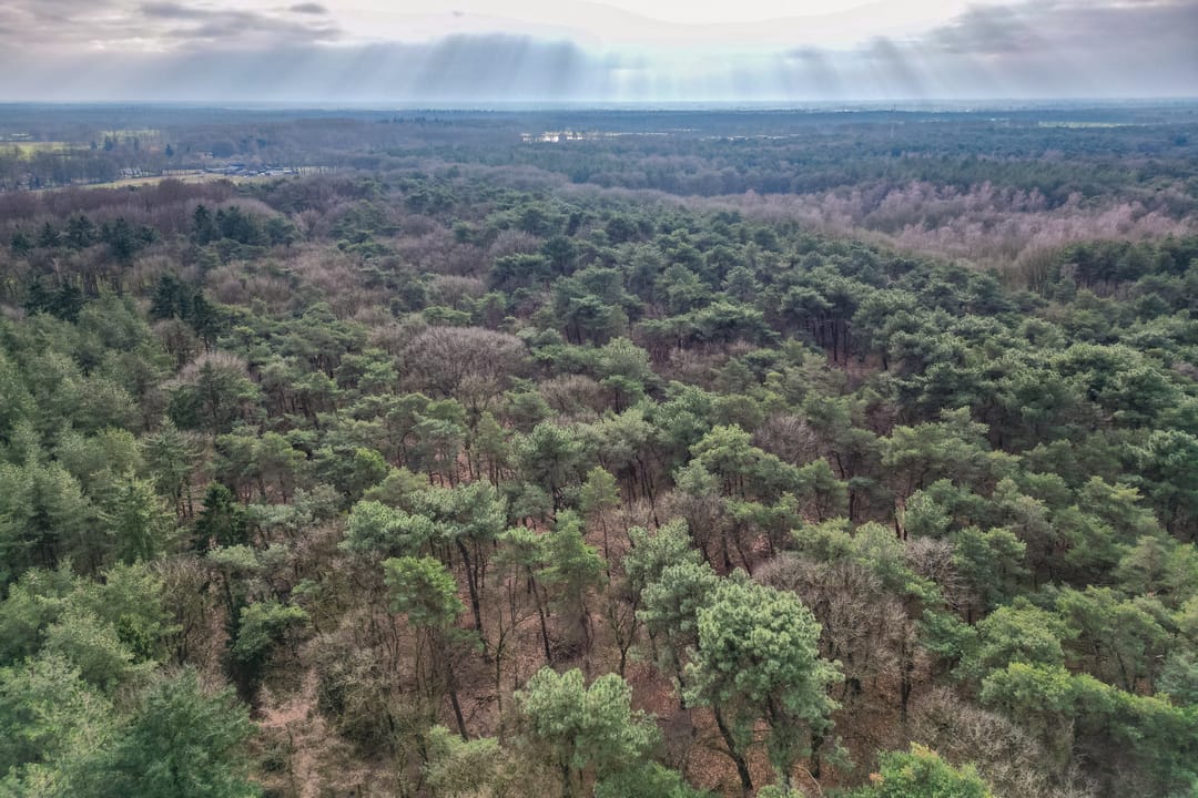 Foto 38 van Elzenstraat 7