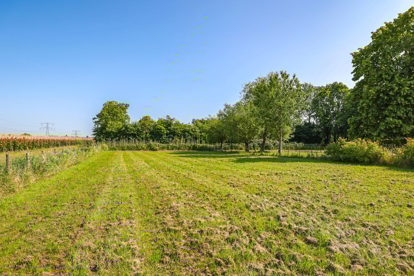 Photo 4 of Waalbandijk 46