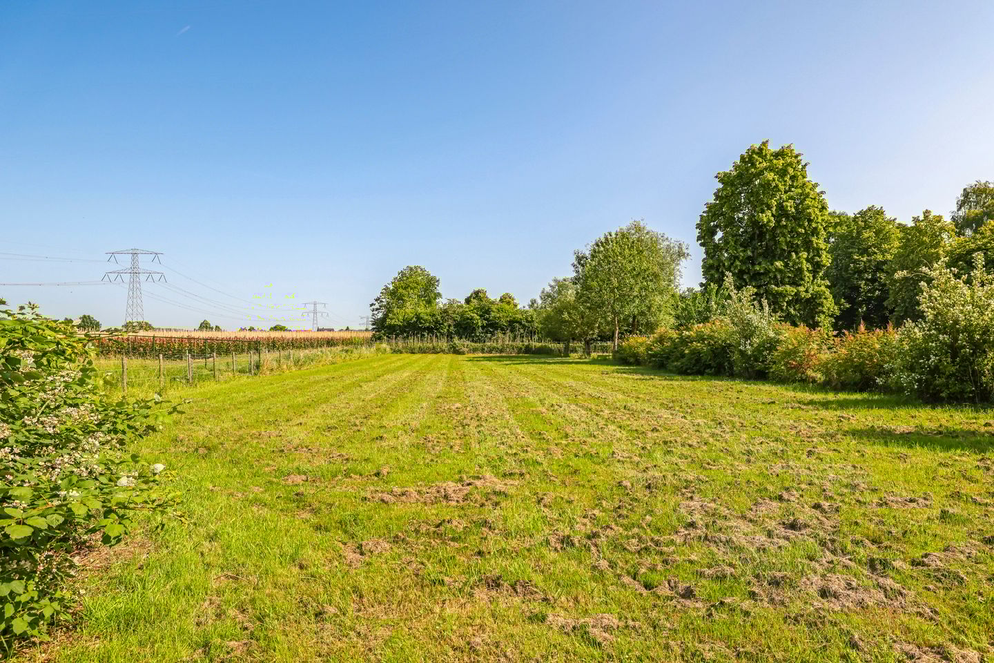 Photo 80 of Waalbandijk 46