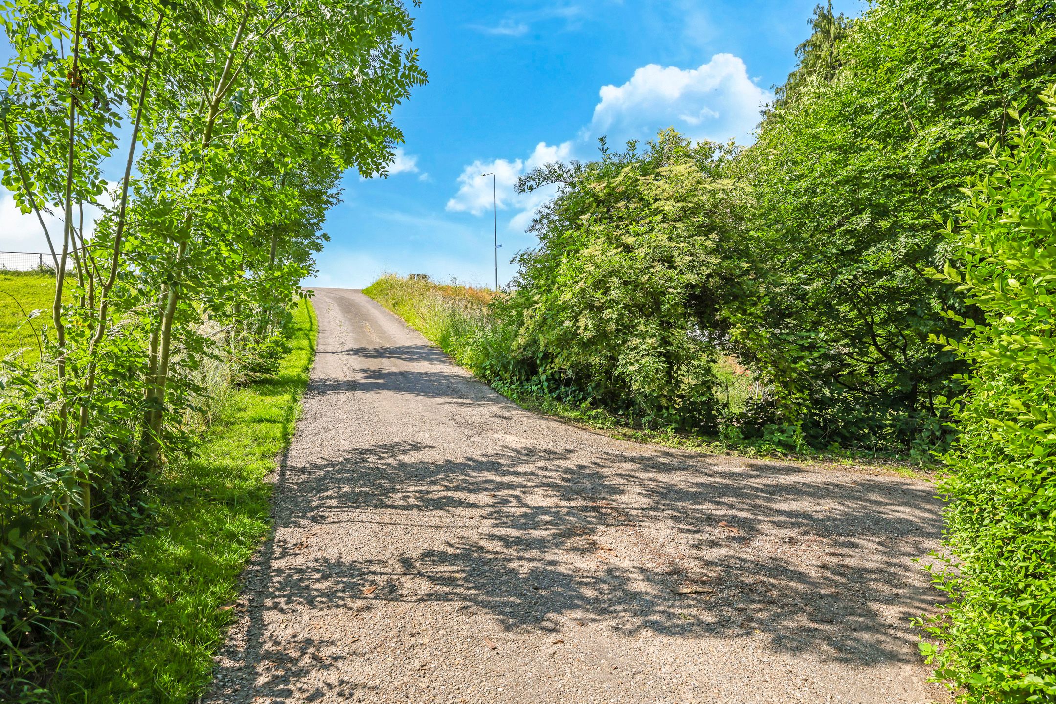 Photo 84 of Waalbandijk 46