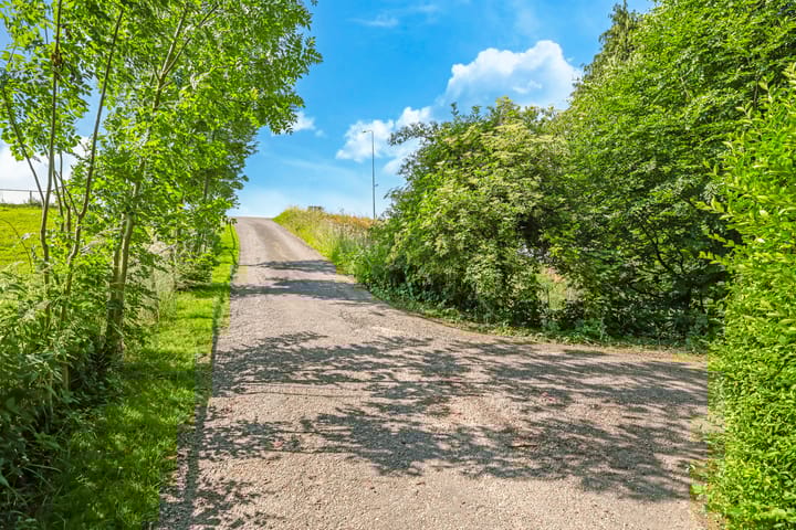 Foto 84 van Waalbandijk 46