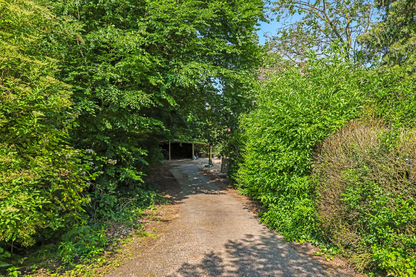 Photo 85 of Waalbandijk 46