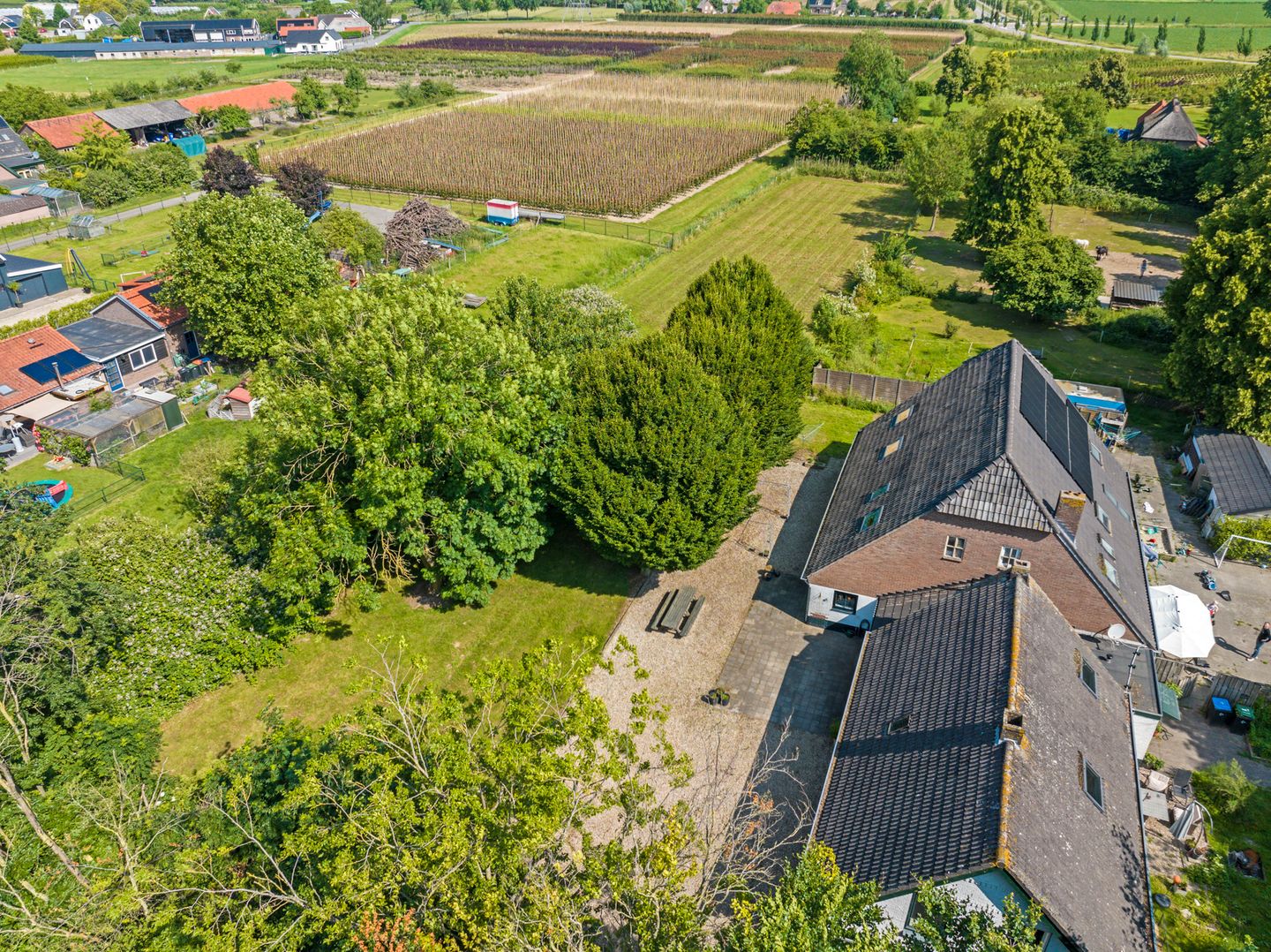 Photo 89 of Waalbandijk 46