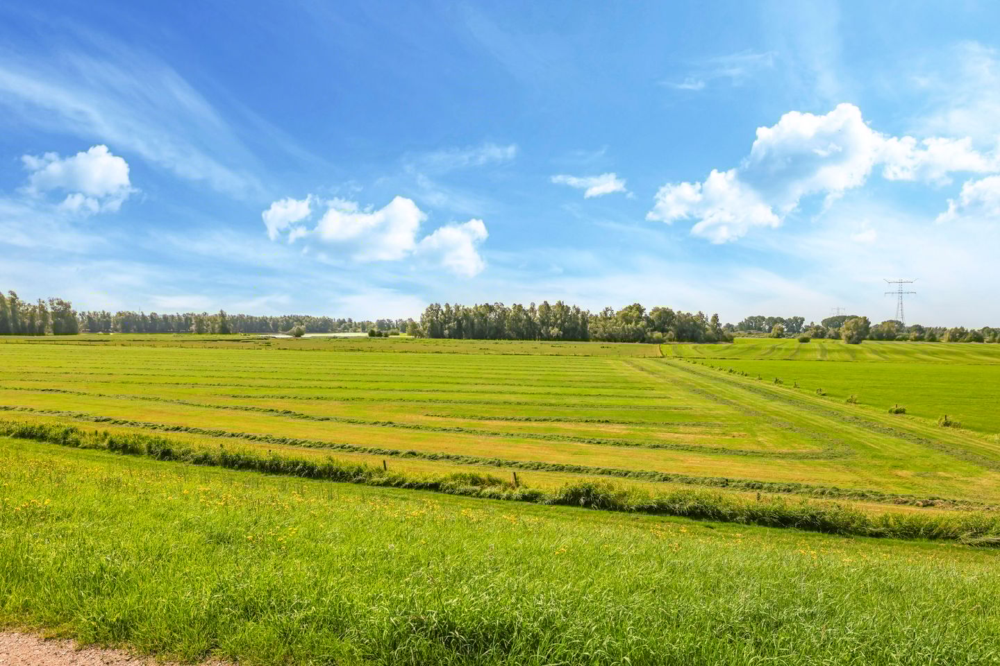 Photo 100 of Waalbandijk 46