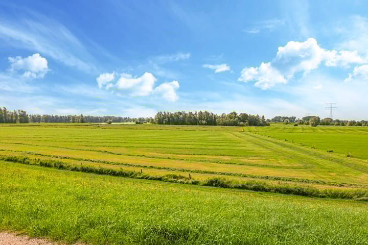 Foto 100 van Waalbandijk 46