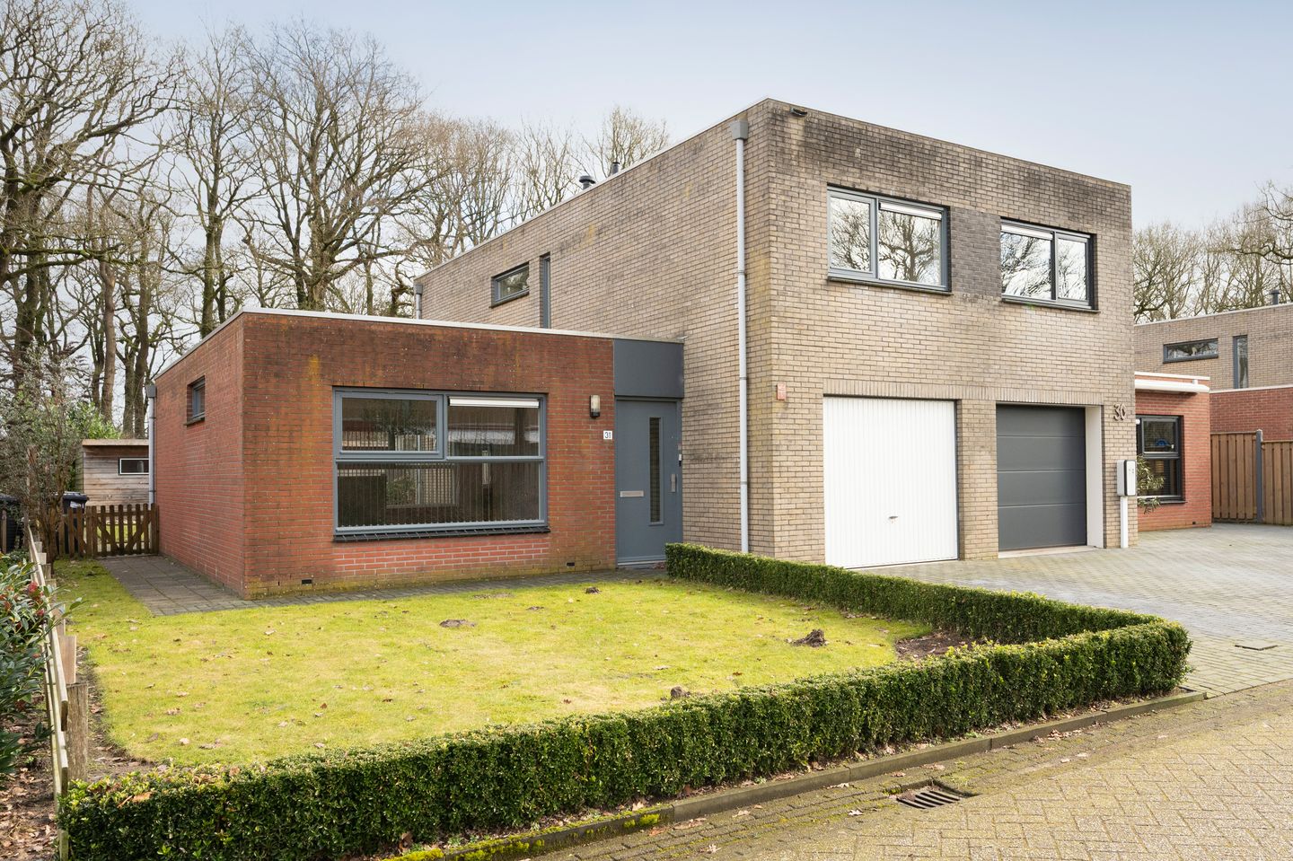 Foto 1 van Sneeuwuil 31