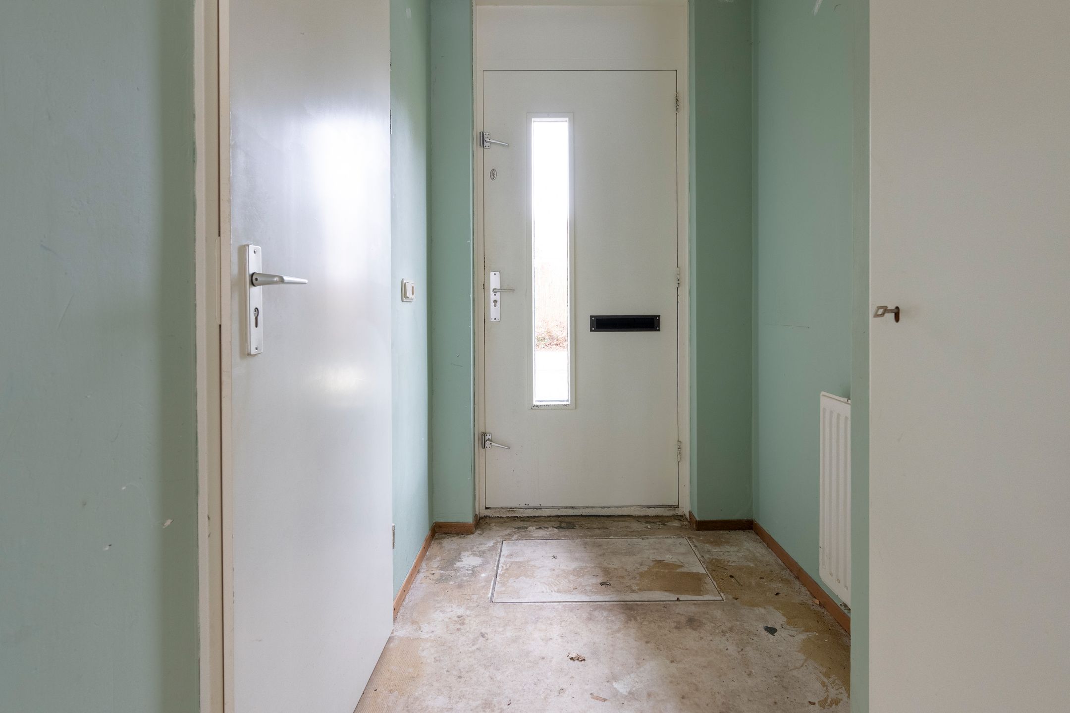 Foto 3 van Sneeuwuil 31