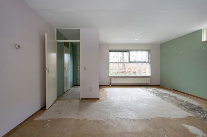 Foto 5 van Sneeuwuil 31