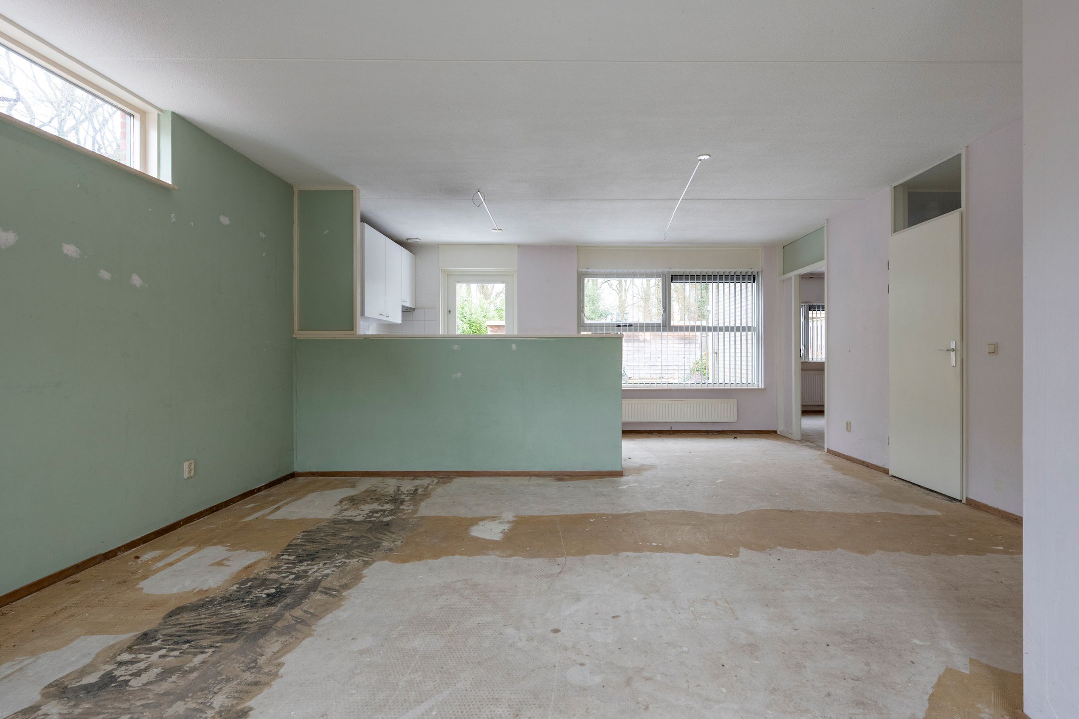 Foto 6 van Sneeuwuil 31