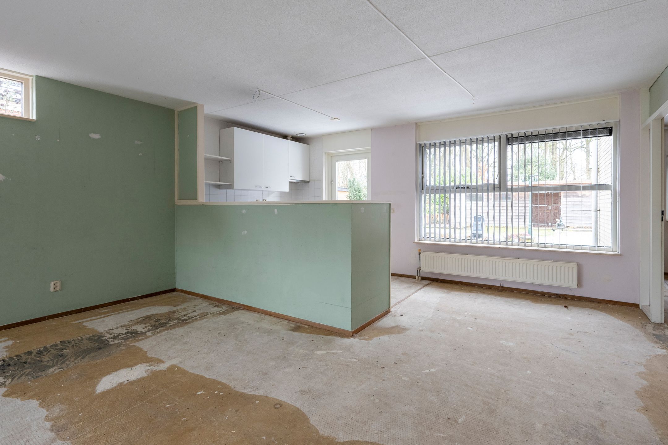 Foto 9 van Sneeuwuil 31