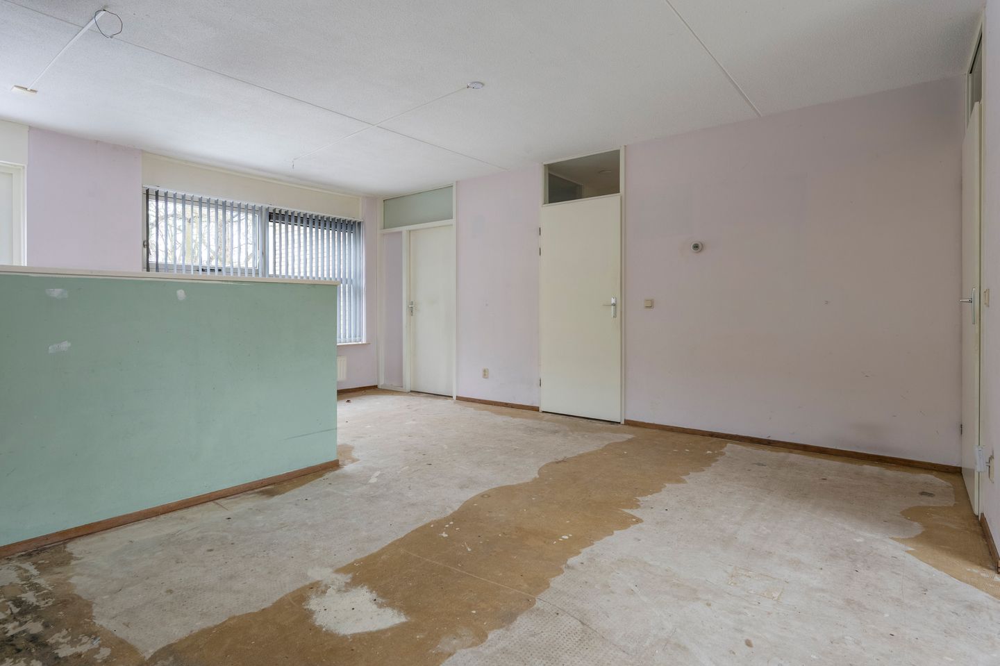 Foto 10 van Sneeuwuil 31