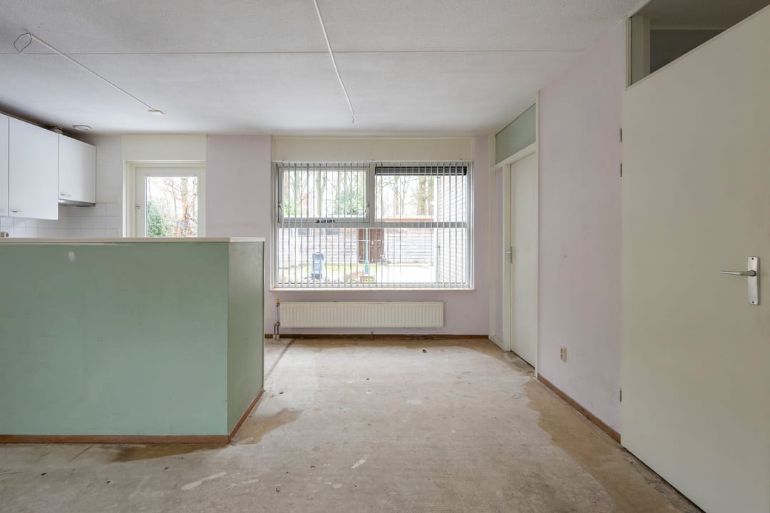 Foto 11 van Sneeuwuil 31