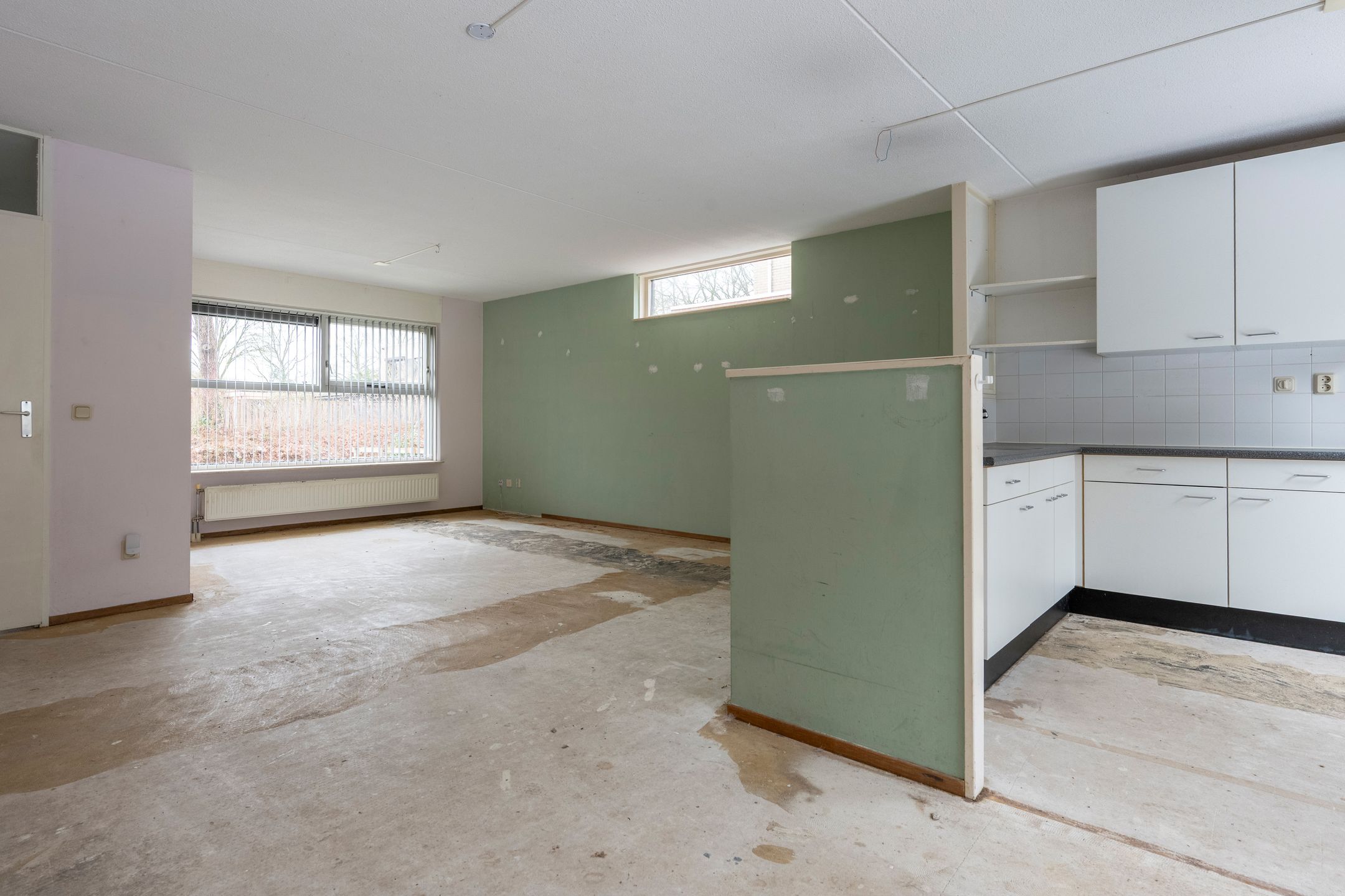 Foto 12 van Sneeuwuil 31