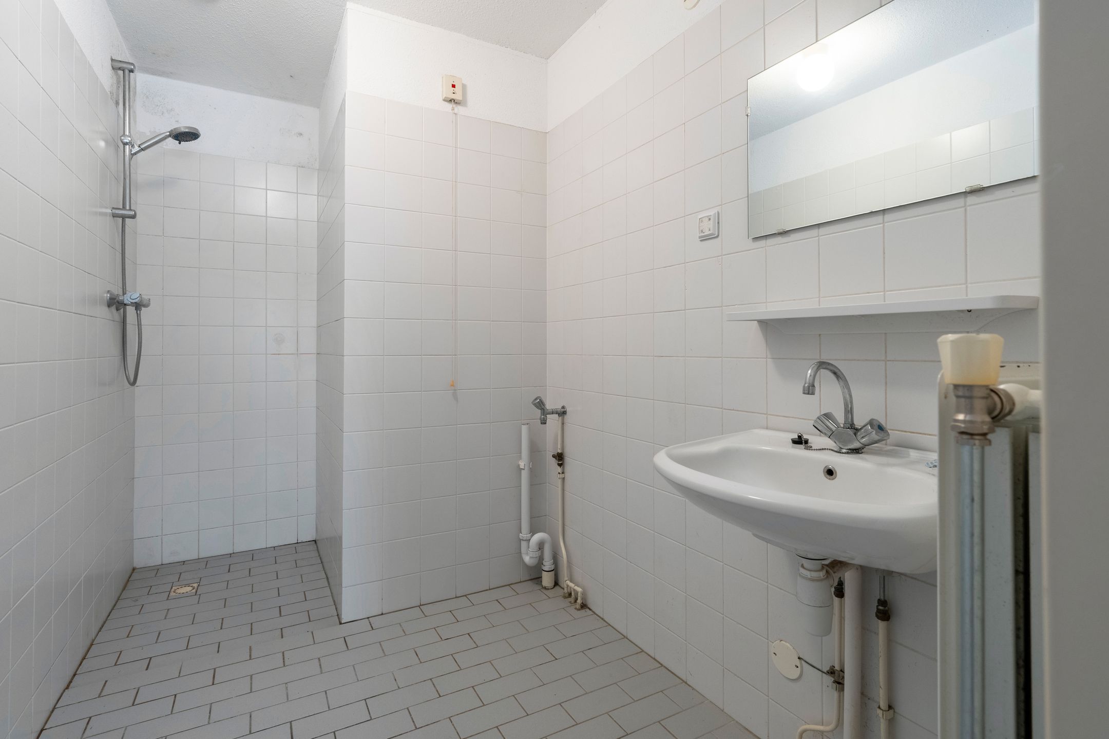 Foto 18 van Sneeuwuil 31