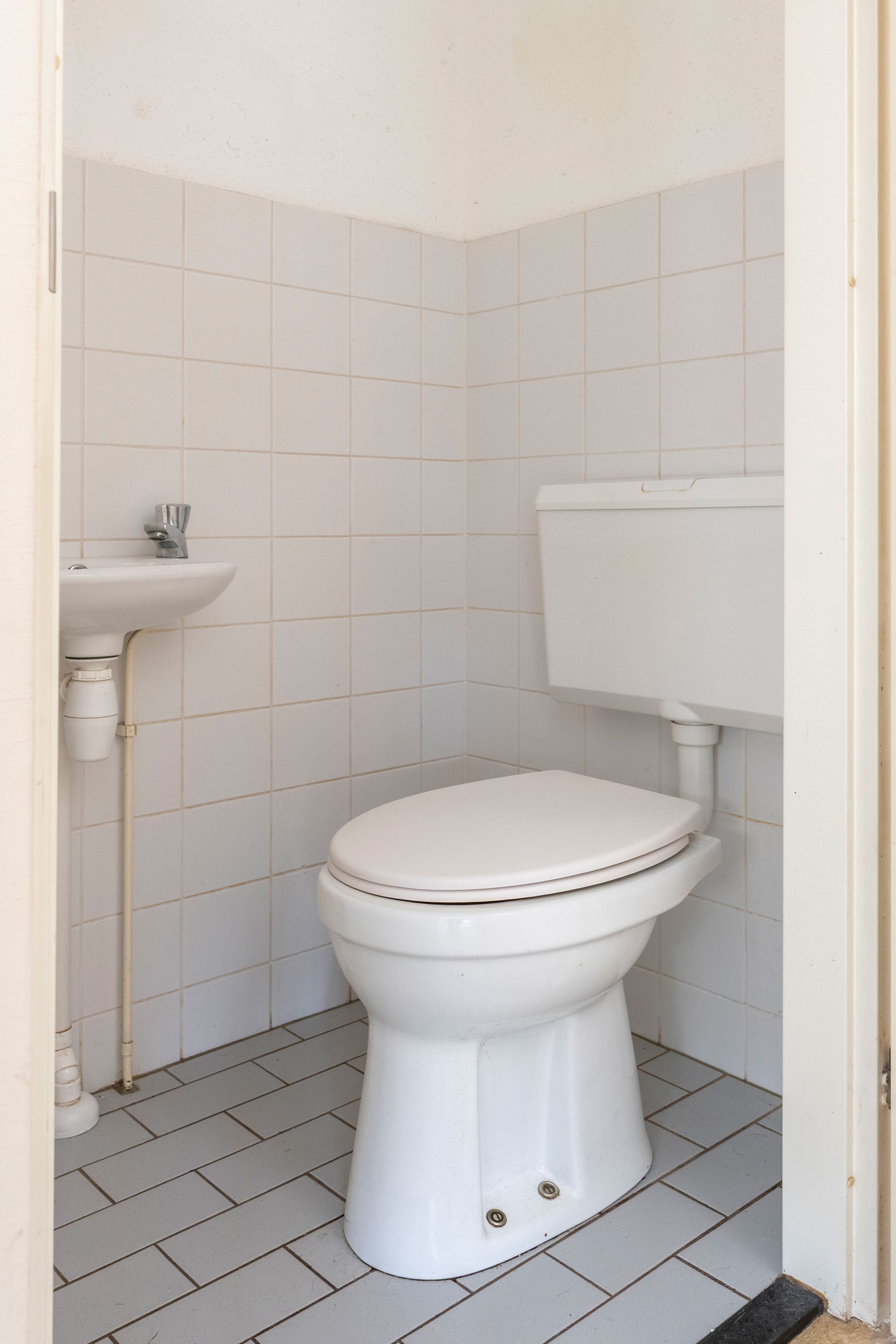 Foto 21 van Sneeuwuil 31