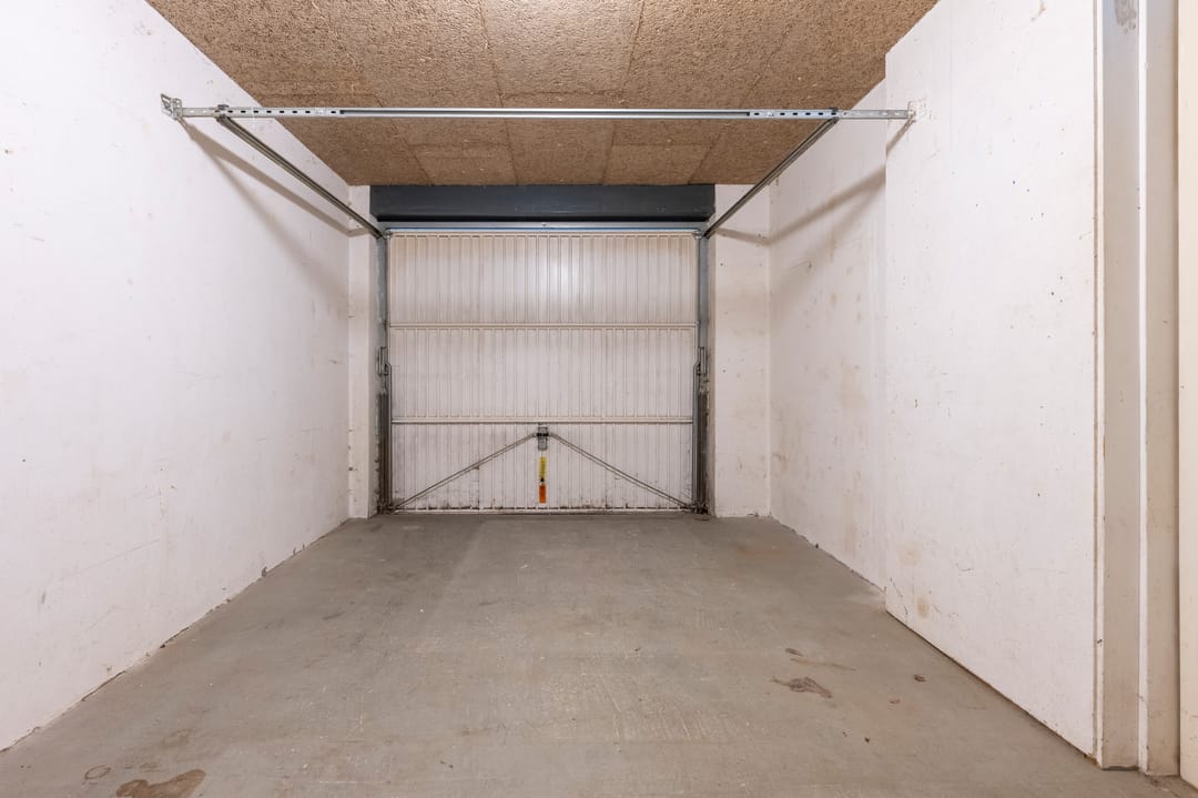 Foto 22 van Sneeuwuil 31