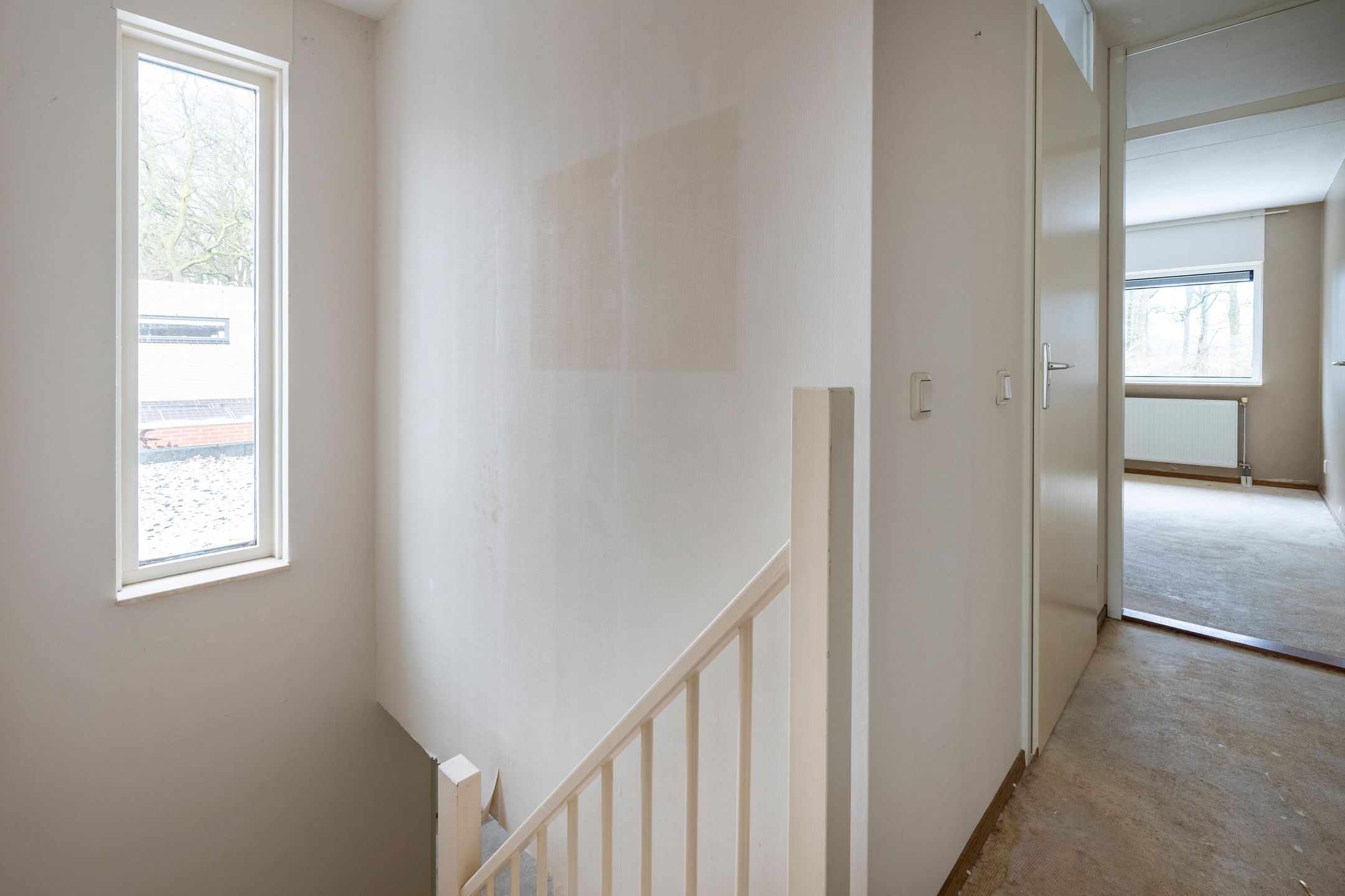 Foto 24 van Sneeuwuil 31