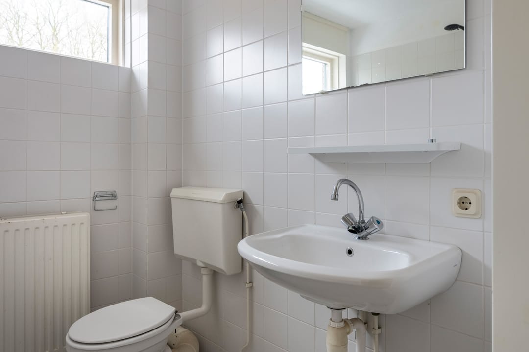 Foto 31 van Sneeuwuil 31