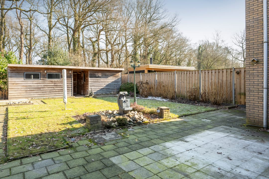 Foto 32 van Sneeuwuil 31