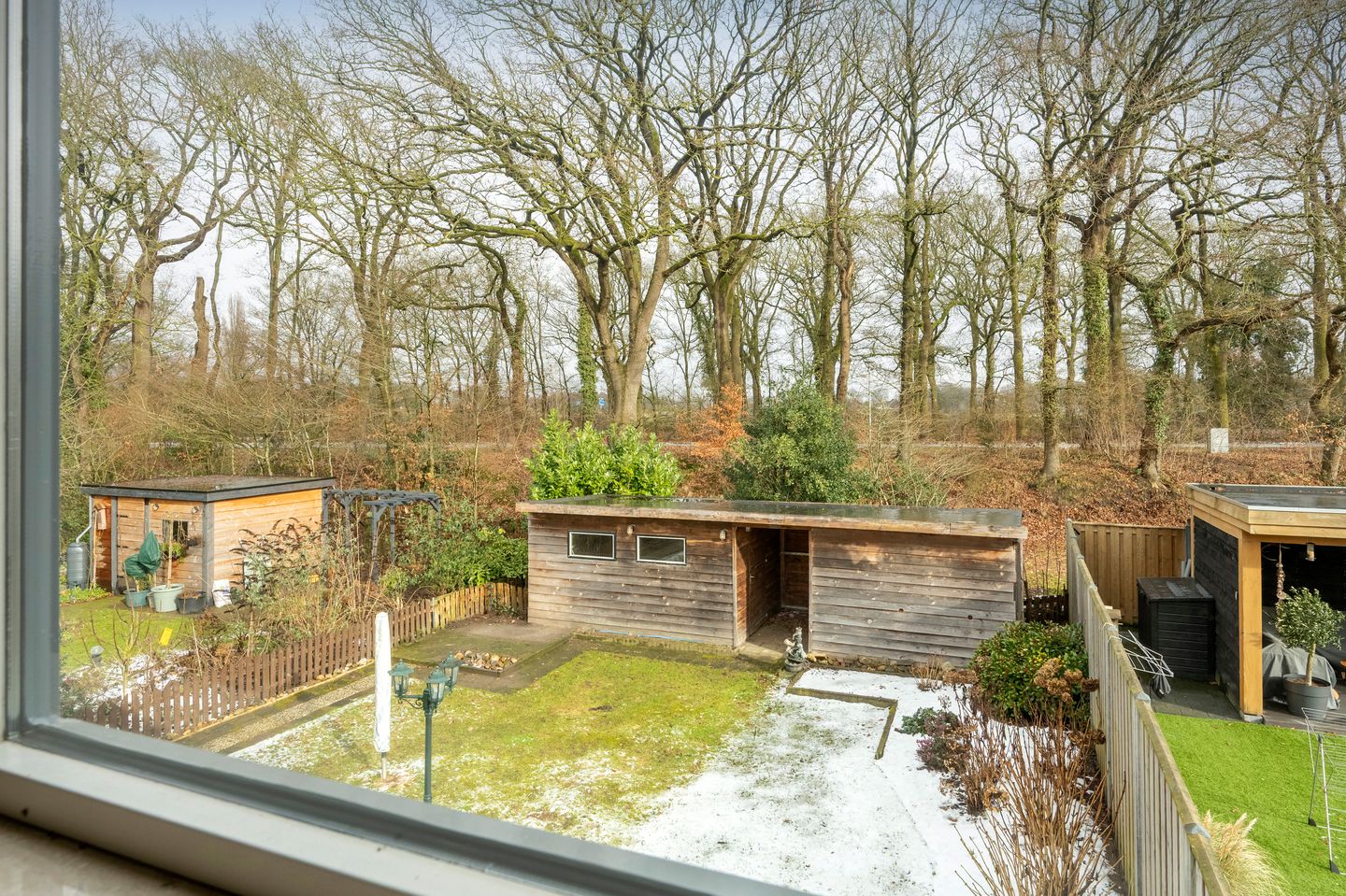 Foto 35 van Sneeuwuil 31