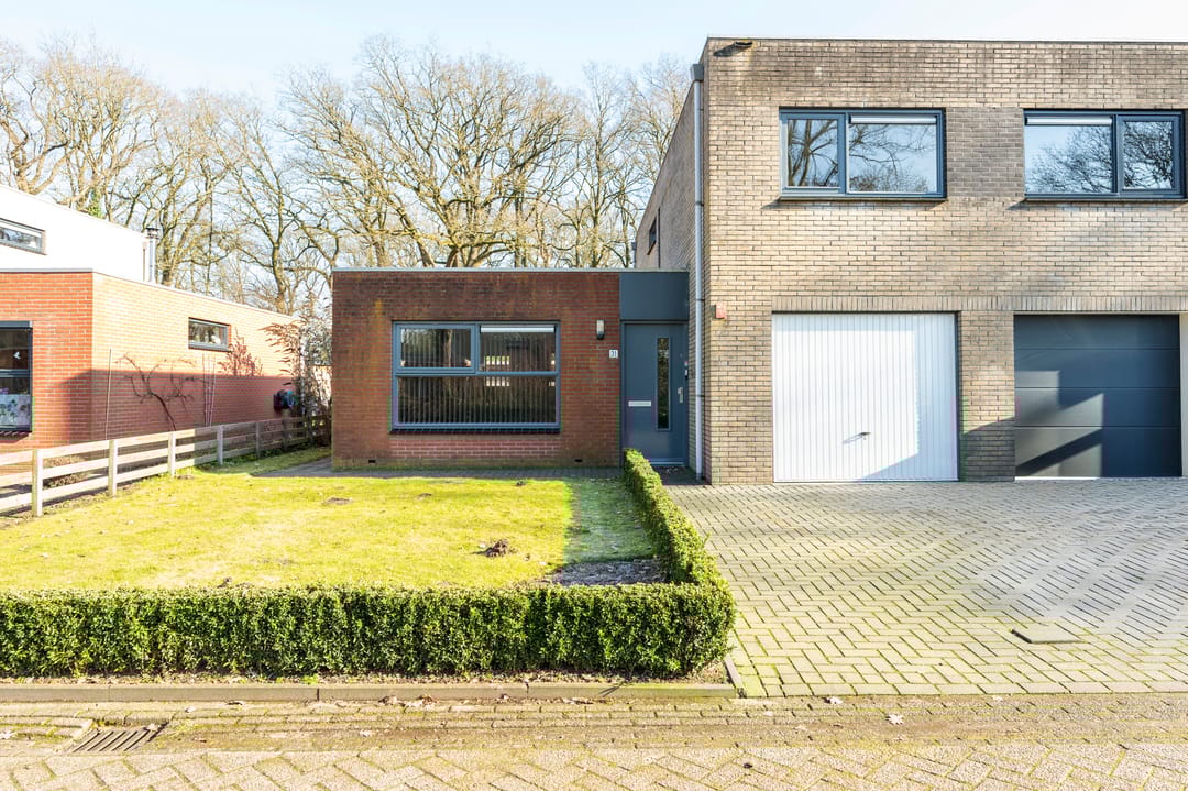 Foto 38 van Sneeuwuil 31