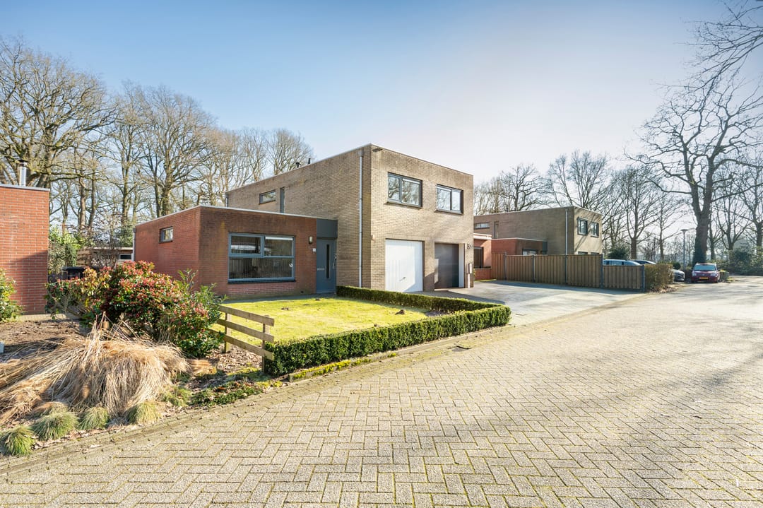 Foto 41 van Sneeuwuil 31