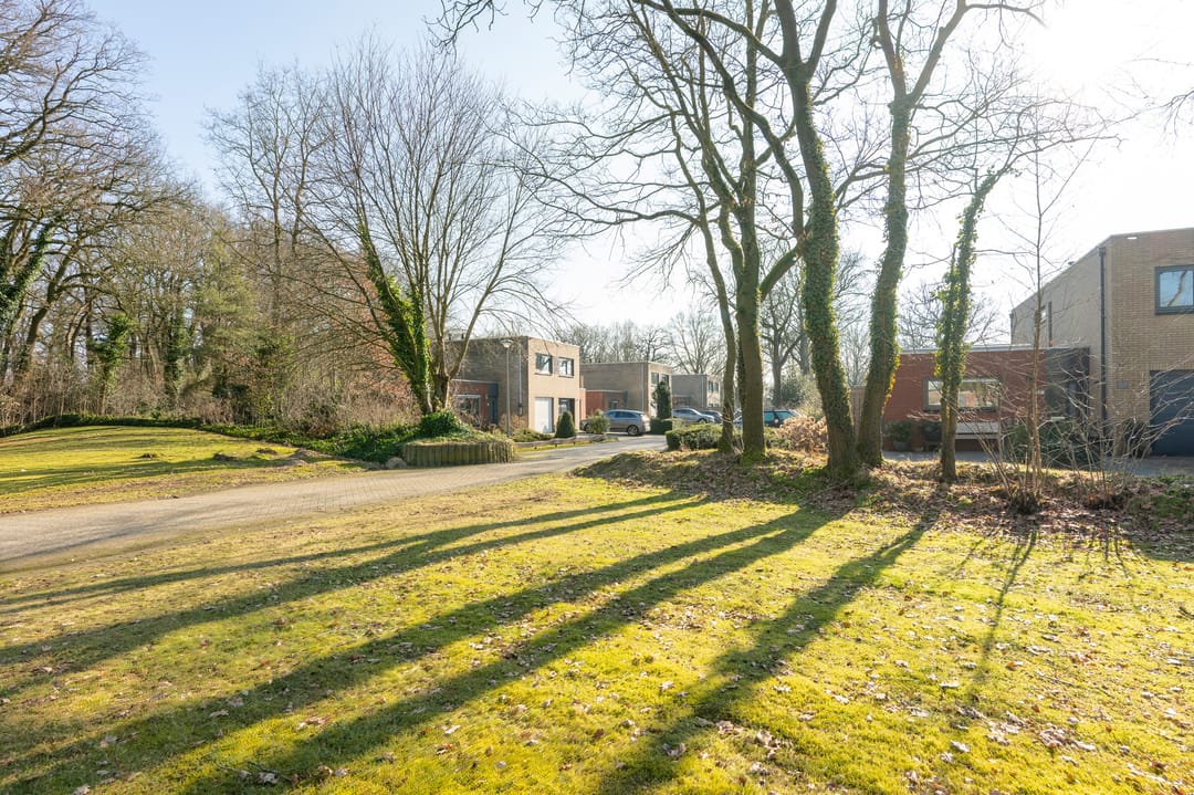 Foto 43 van Sneeuwuil 31