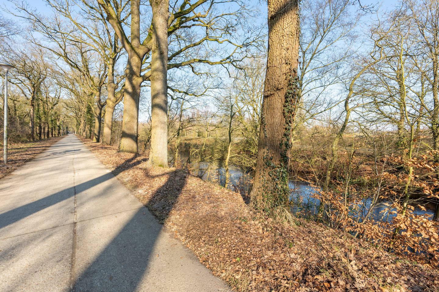 Foto 44 van Sneeuwuil 31