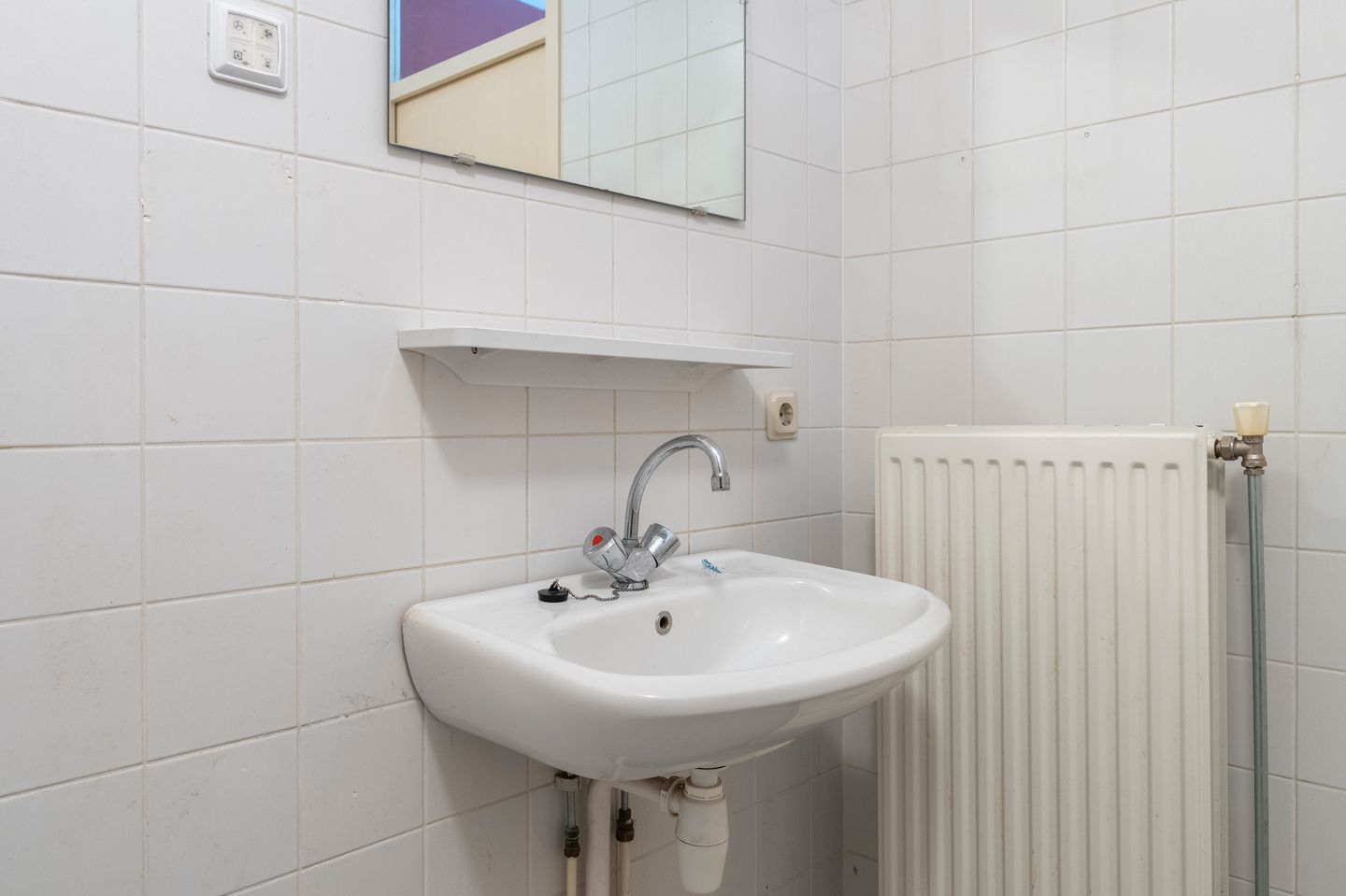 Foto 20 van Sneeuwuil 31