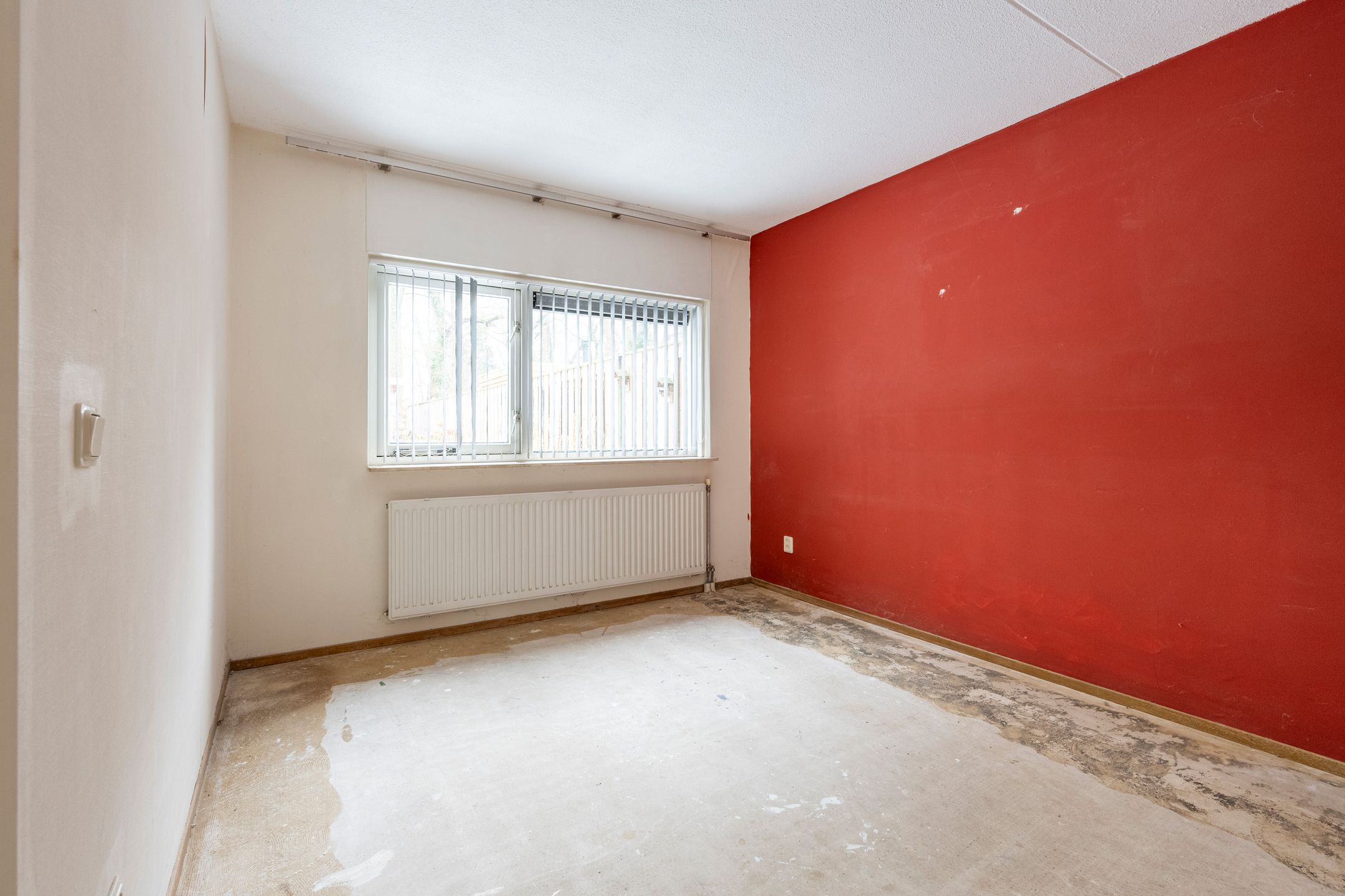 Foto 15 van Sneeuwuil 31