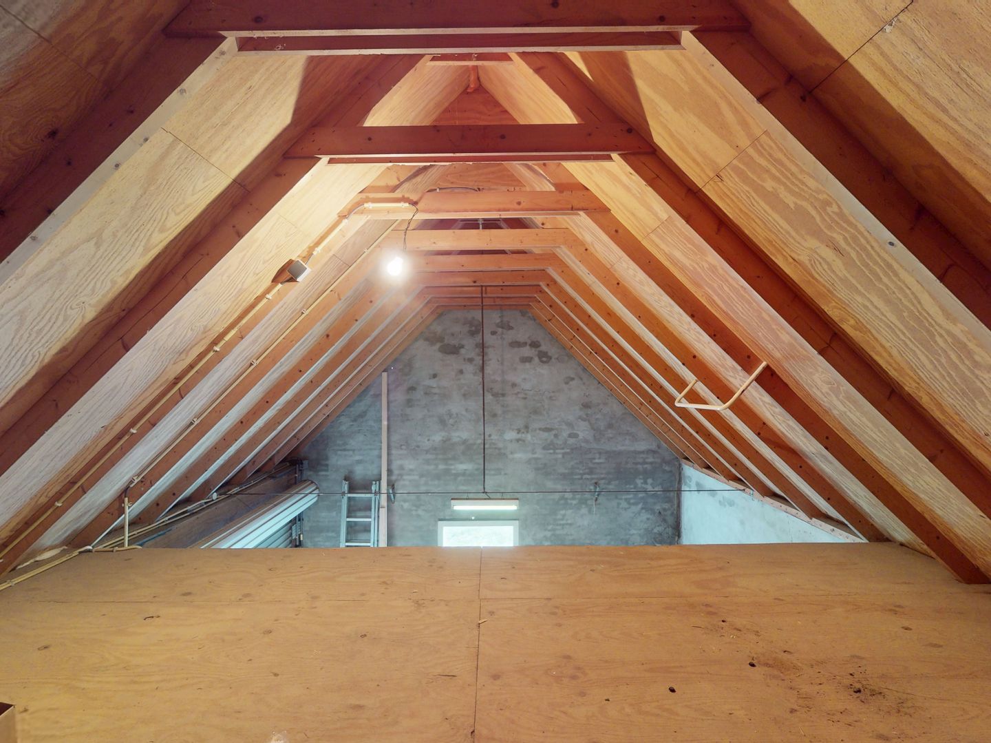 Foto 44 van M.H. Trompstraat 38