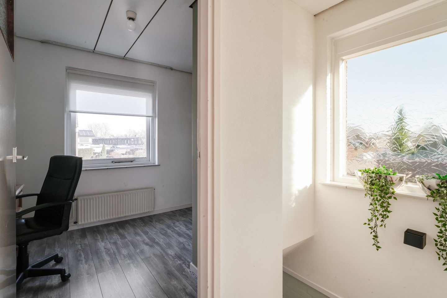 Foto 40 van Reinierastraat 6