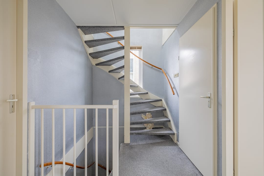 Foto 43 van Vromoldsland 73