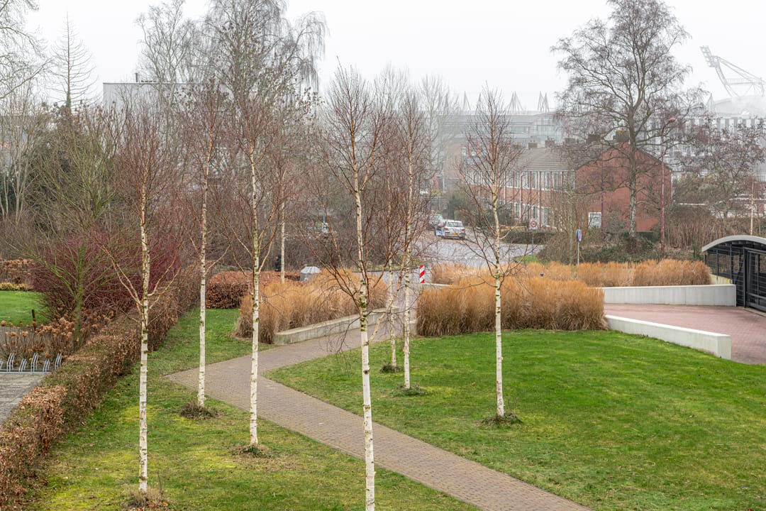 Photo 22 of Coehoorn van Scheltingaweg 50