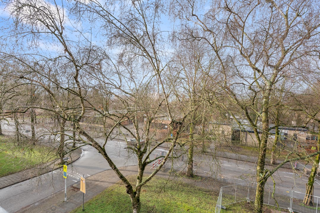 Foto 7 van Weerdestein 61