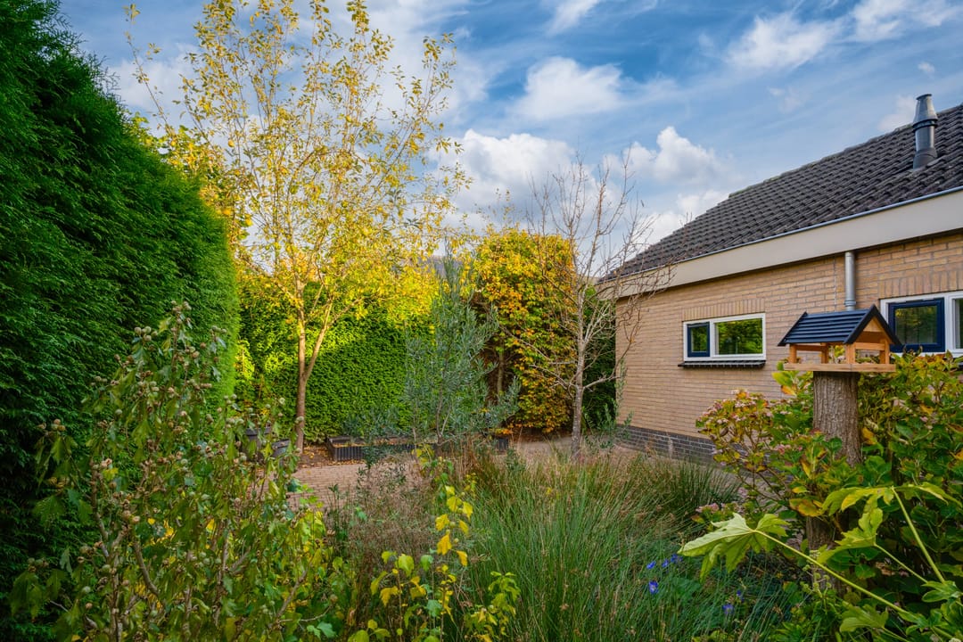 Foto 32 van Judostraat 7