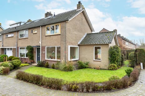 undefined main image