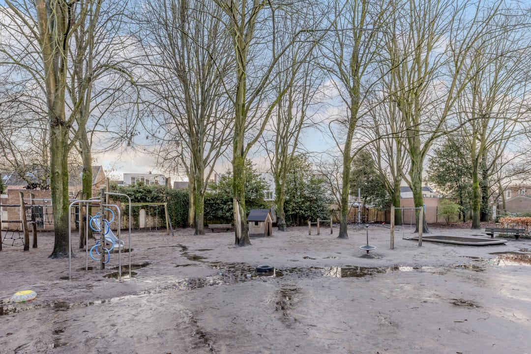 Photo 41 of Dionysiusstraat 15